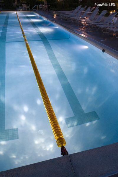 PoolTone™ Standard White LED Pool Light 12 or 120 Volt 15-150 Ft 300W Equivalent